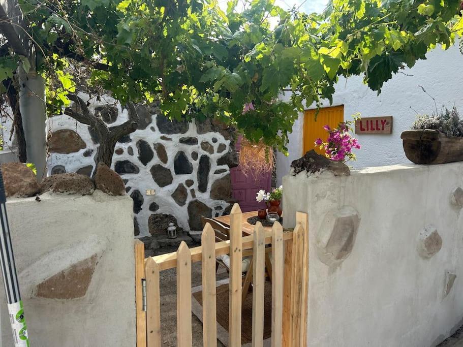 Lilly'S Finca - Romantischter Rueckzugsort - Pool Vilaflor Exterior foto